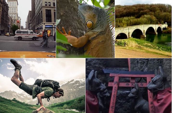 3 موقع كاميرات بث مباشر حول العالم ومشاهده معالم المدن