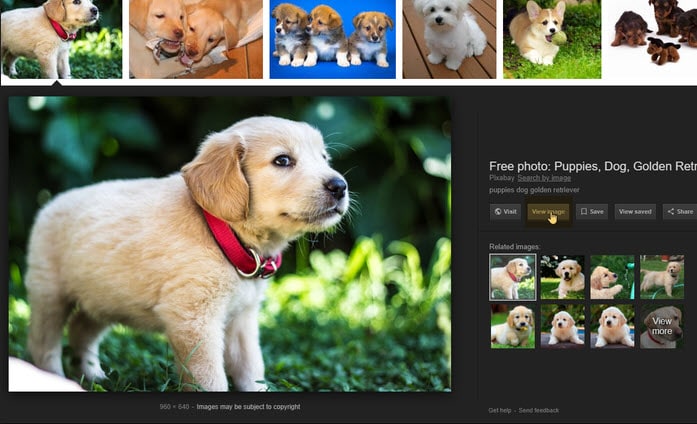 كيفية اضافة زر View Image فى محرك بحث صور جوجل